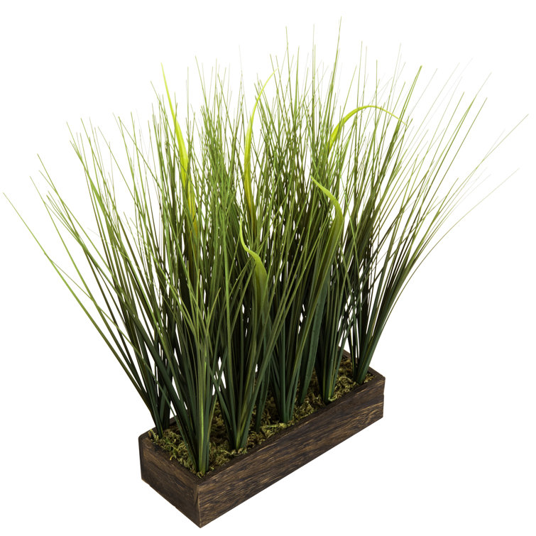 Primrue 12'' Artificial Onion Grass Plant in Planter Wayfair.ca